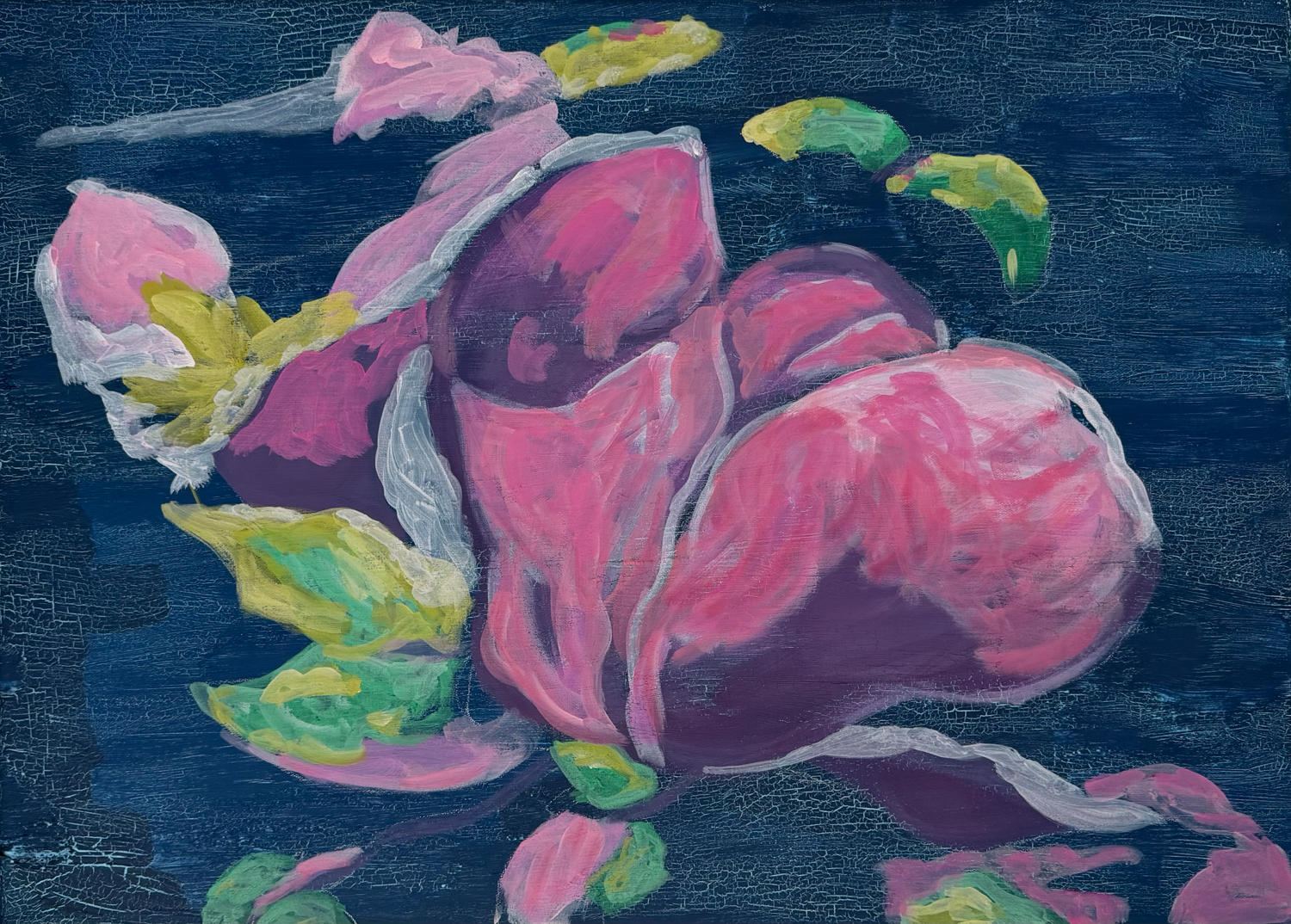 Magnolienblüte II